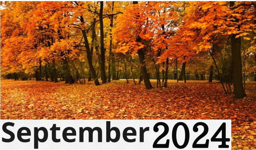 September 2024 Newsletter